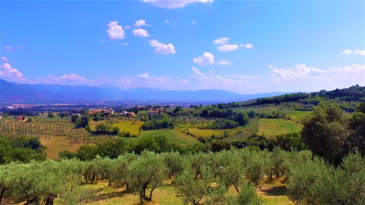 Agriturismo Camiano Piccolo Монтефалько Екстер'єр фото